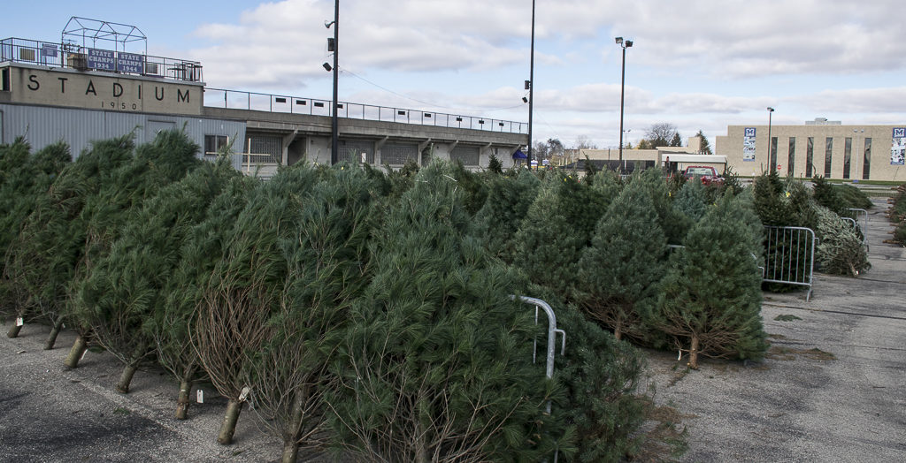 Kiwanis Christmas Trees being arranged on November 22nd. Lots of easy, paved parking. Photo by: Mike Rhodes