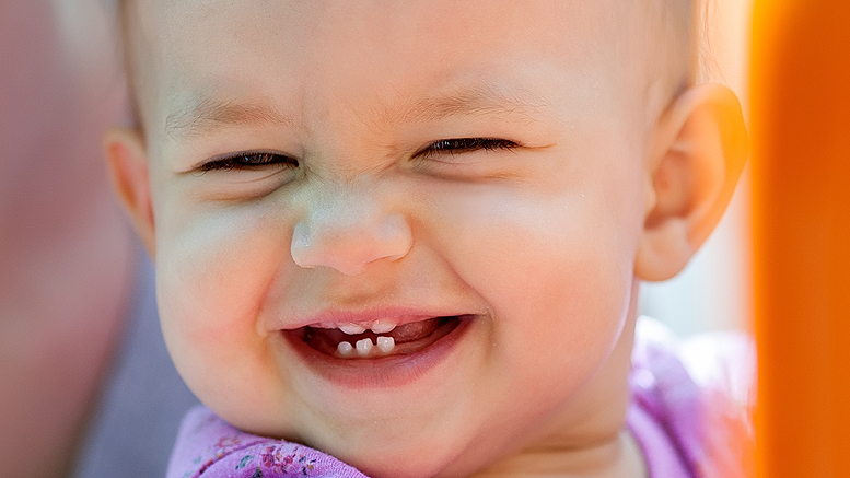 where do babies first teeth come in