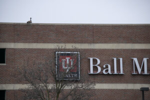A lone goose sits on top of the IU Health BMH parking garage.