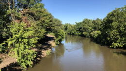 The White River and trail area as seen from the Walnut Street Bridge