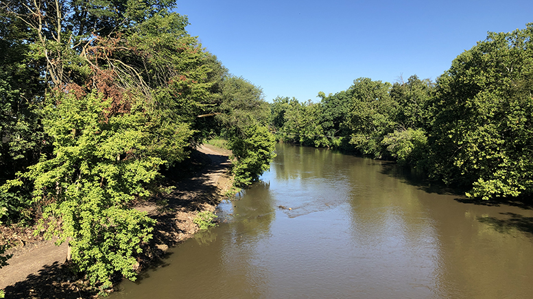 The White River and trail area as seen from the Walnut Street Bridge