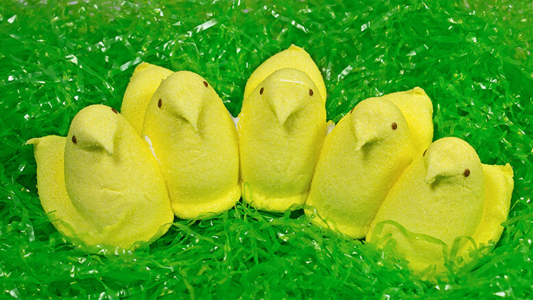 There's nothing like Peeps candy during this time of year. Photo by story blocks.
