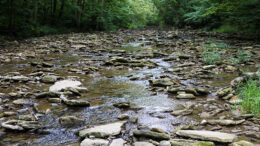 Elkhorn Creek photo by Jaime Coon.