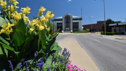 Who planted these flowers? Photo: Mike Rhodes