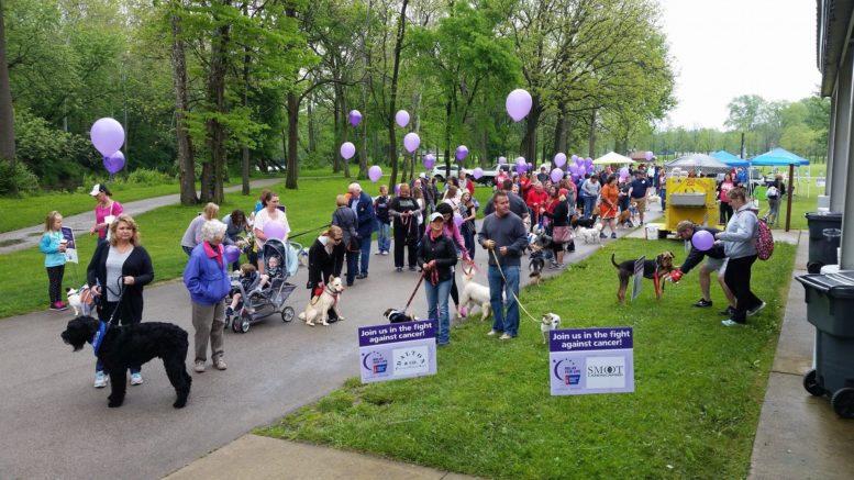 A scene from Saturday's "Bark for Life." Photo by: Jay Garrison