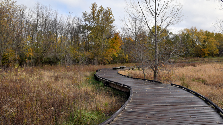 The John M. Craddock Wetland Nature Preserve is pictured. Photo by: Mike Rhodes