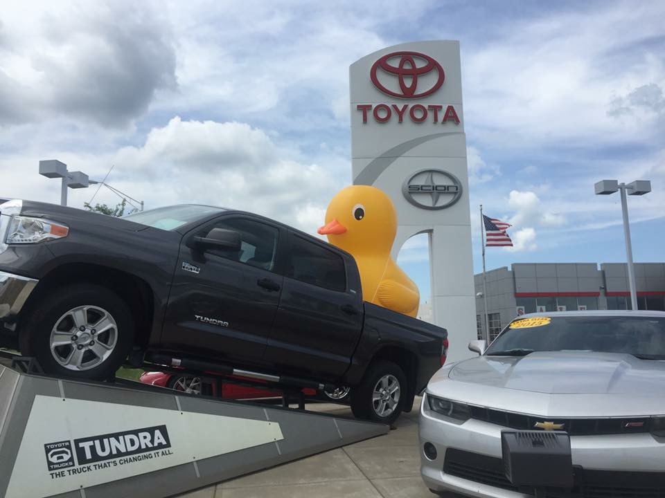 Another duck sighting at Toyota of Muncie. Photo by: Scott Smalstig