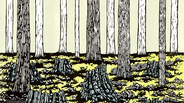 Josh Winkler, The American Chestnut - Ghosts on the Appalachian Trail, color woodcut.