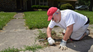 Mike Smith pulls grass out of the sidewalk crevices in front of his home in Johnson Woods addition. Photo by: Mike Rhodes