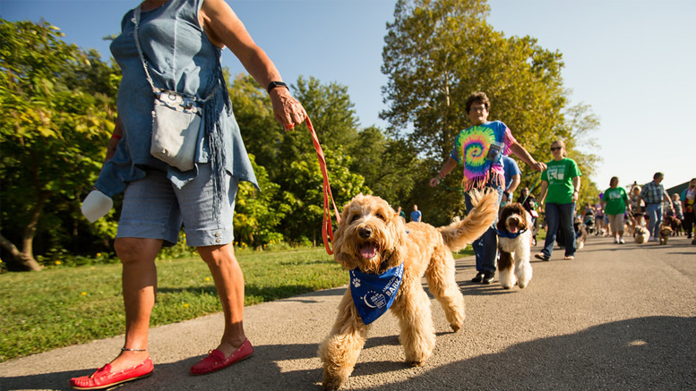 Bark For Life of Delaware County will be held Saturday, September 29th at Morrow’s Meadow in Yorktown. Photo provided.