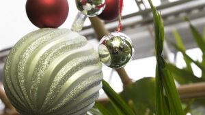 Christmas ornaments at the greenhouse. Photo provided