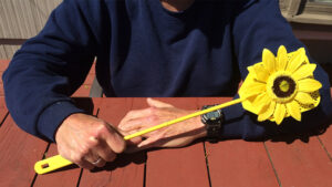 This bad-boy fly swatter awaits killer hornets’ arrival. Photo by: Nancy Carlson