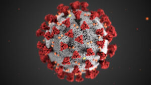 This illustration, created at the Centers for Disease Control and Prevention (CDC), reveals ultrastructural morphology exhibited by coronaviruses. Note the spikes that adorn the outer surface of the virus, which impart the look of a corona surrounding the virion.