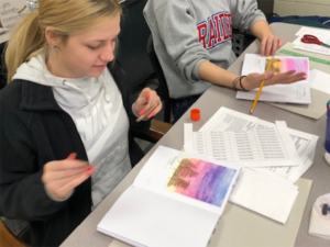 Students in Mrs. Barbara Miller’s Yorktown High School English 11 Honors class create Americana-themed journals to enhance their understanding of American literature. A $449 Robert P. Bell Grant, awarded in November 2019, supported the cost of supplies for students to create their journals.