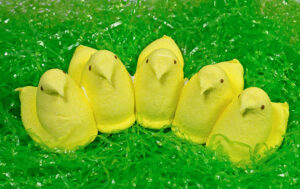 There's nothing like Peeps candy during this time of year. Photo by story blocks.