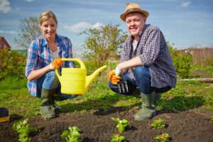 The Grow-a-Row project encourages local gardeners to donate excess garden produce to community partners that can distribute the produce to neighbors in need. Photo by storyblocks