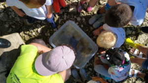 A grant to Delaware County Soil and Water Conservation District will support marketing, education, and outreach for the Upper White River Watershed Project. A similar grant in 2021 supported educational programming this year, including a river education event with the students from Destiny Christian Academy.