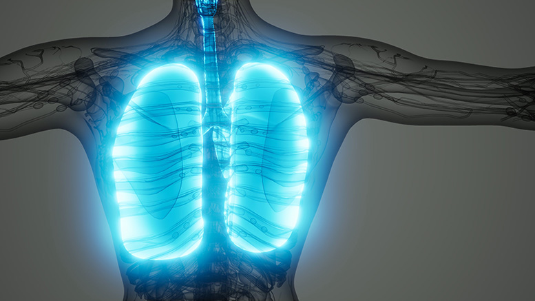 Lung illustration by Storyblocks.